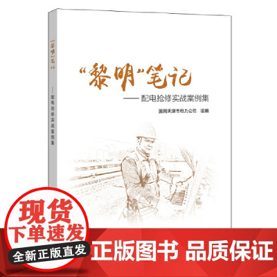 “黎明”笔记——配电抢修实战案例集