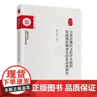 [正版书籍]欠发达地区文化中介组织发展现状调查及培育对策研究