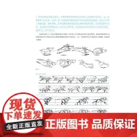 动画设计基础---新视域·中国高等院校动画设计专业十三五规划教材