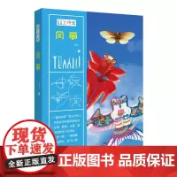 [正版书籍]手工时光:风筝