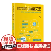 数字景观与新型文艺: