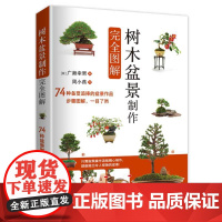 [正版书籍]树木盆景制作完全图解