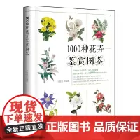 [正版书籍]1000种花卉鉴赏图鉴
