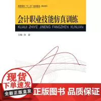 [正版书籍]会计职业技能仿真训练