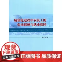 [正版书籍]城镇化进程中农民工的劳动报酬与就业保障