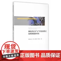 [正版书籍]湖北省页岩气产业发展模式及政策创新研究