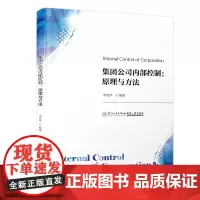 集团公司内部控制:原理与方法