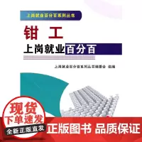 [正版书籍]钳工上岗就业百分百