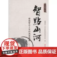智点山河:巅峰智业十年经典案例集