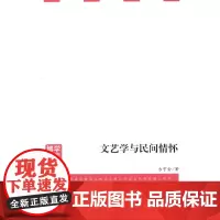[正版书籍]文艺学与民间情怀
