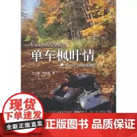 单车枫叶情