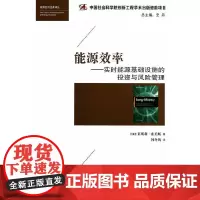 [正版书籍]能源效率——实时能源基础设施的投资与风险管理