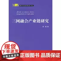 [正版书籍]三网融合产业链研究