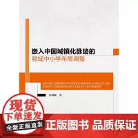[正版书籍]嵌入中国城镇化脉络的县域中小学布局调整