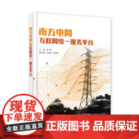 南方电网互联网统一服务平台 罗辑 电子工业出版社 正版书籍