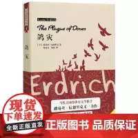 [正版书籍]鸽灾(厄德里克作品)