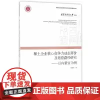 [正版书籍]稀土企业核心竞争力动态评价及培育路径研究——以内蒙古为例(内蒙古科技大学文库)