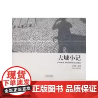 [正版书籍]大城小记