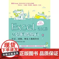 [正版书籍]Excel 2013从新手到高手 公式 函数 图表与数据分析