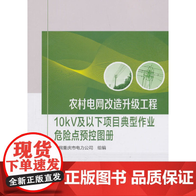 [正版书籍]农村电网改造升级工程 10kV及以下项目典型作业危险点预控图册
