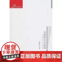 [正版书籍]反腐败司法原理—人民法学文存
