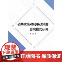 [正版书籍]公共政策对刑事政策的影响模式研究