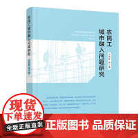 [正版书籍]农民工城市融入问题研究