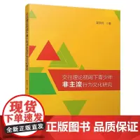[正版书籍]交往理论视阈下青少年“非主流”行为文化研究