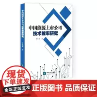 [正版书籍]中国能源上市公司技术效率研究
