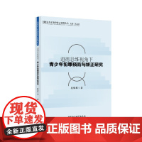 [正版书籍]道德思维视角下青少年犯罪预防与矫正研究