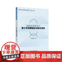 [正版书籍]道德思维视角下青少年犯罪预防与矫正研究