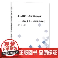 [正版书籍]社会风险与保障制度建设——对城市非正规就业的研究