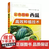 [正版书籍]彩色图解西瓜高效种植技术