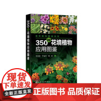 [正版书籍]园林植物图鉴系列--350种花境植物应用图鉴