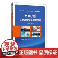 Excel在会计和财务中的应用(第二版)