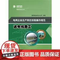 [正版书籍]电网企业生产岗位技能操作规范 送电线路工