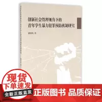 创新社会管理视角下的青年学生犯罪预防机制研究