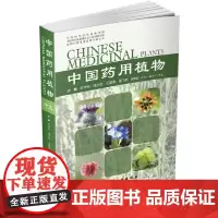 [正版书籍]中国药用植物.十九