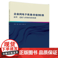 [正版书籍]企业间电子商务价值创造:部署、适配与重构的新机制