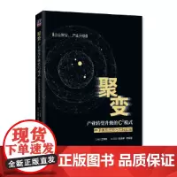[正版书籍]聚变:产业转型升级的C3模式——中卫体系经验与大陆实践