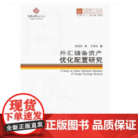 [正版书籍]同济博士论丛——外汇储备资产优化配置研究