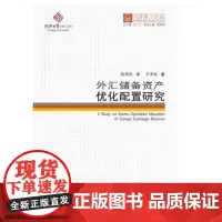 [正版书籍]同济博士论丛——外汇储备资产优化配置研究