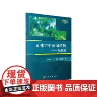 [正版书籍]雨林空中花园植物——鸟巢蕨