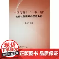 [正版书籍]中国与若干“一带一路”合作伙伴国双向民意分析
