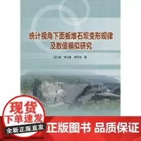 [正版书籍]统计视角下面板堆石坝变形规律及数值模拟研究