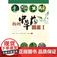 [正版书籍]梅州中草药图鉴Ⅰ