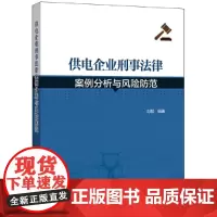 [正版书籍]供电企业刑事法律案例分析与风险防范