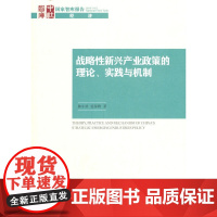 [正版书籍]战略性新兴产业政策的理论、实践与机制