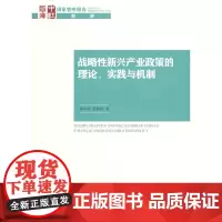 [正版书籍]战略性新兴产业政策的理论、实践与机制