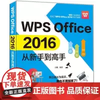WPS Office 2016从新手到高手
